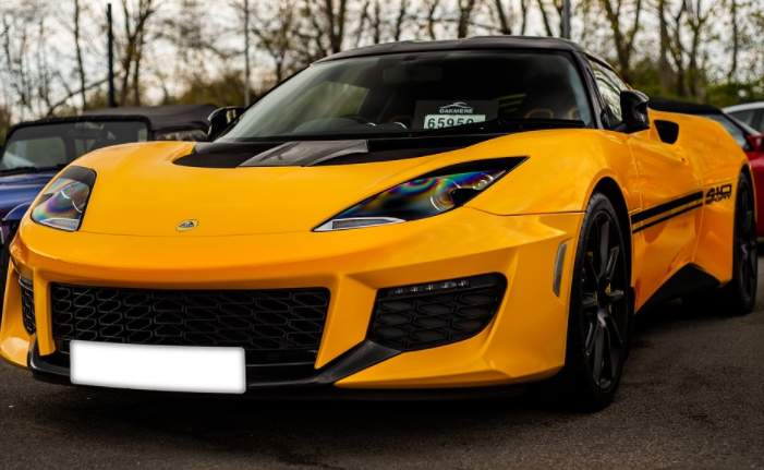 Lotus